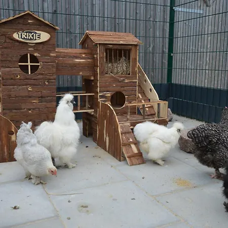 Reetdachhaus 3, Inkl 2 Parkplaetze Prázdninový dům *