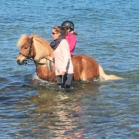 Prázdninový dům Reetdachhaus 3, Inkl 2 Parkplaetze