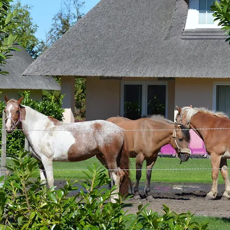 Holiday home Reetdachhaus 3, Inkl 2 Parkplaetze *