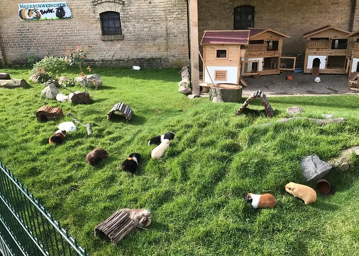 Reetdachhaus 3, Inkl 2 Parkplaetze Fehmarn