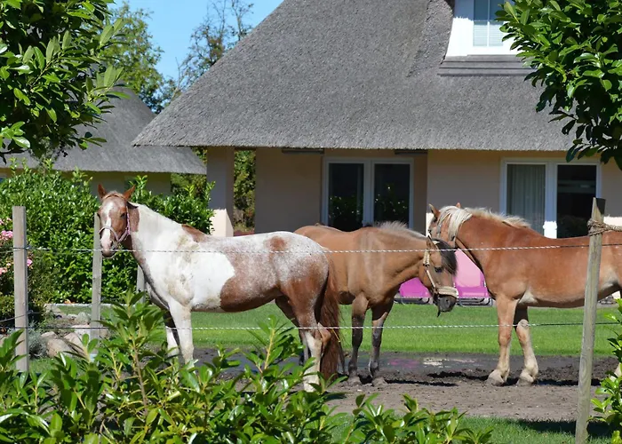 Casa vacanze Reetdachhaus 3, Inkl 2 Parkplaetze *