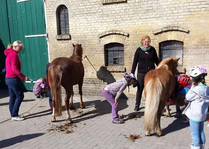 Reetdachhaus 3, Inkl 2 Parkplaetze Casa vacanze Fehmarn